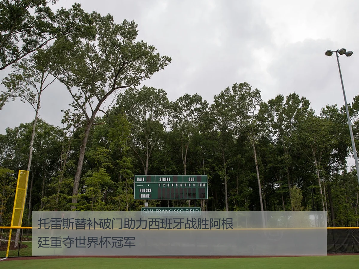 托雷斯替补破门助力西班牙战胜阿根廷重夺世界杯冠军